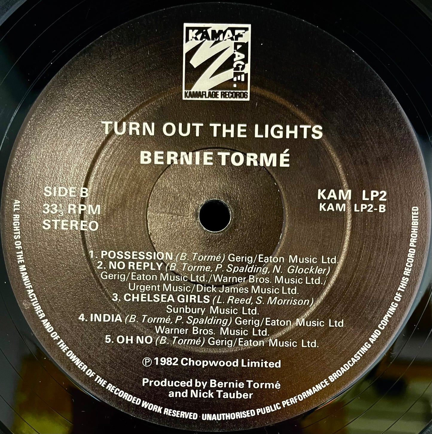 Bernie Tormé – Turn Out The Lights - USED Vinyl LP