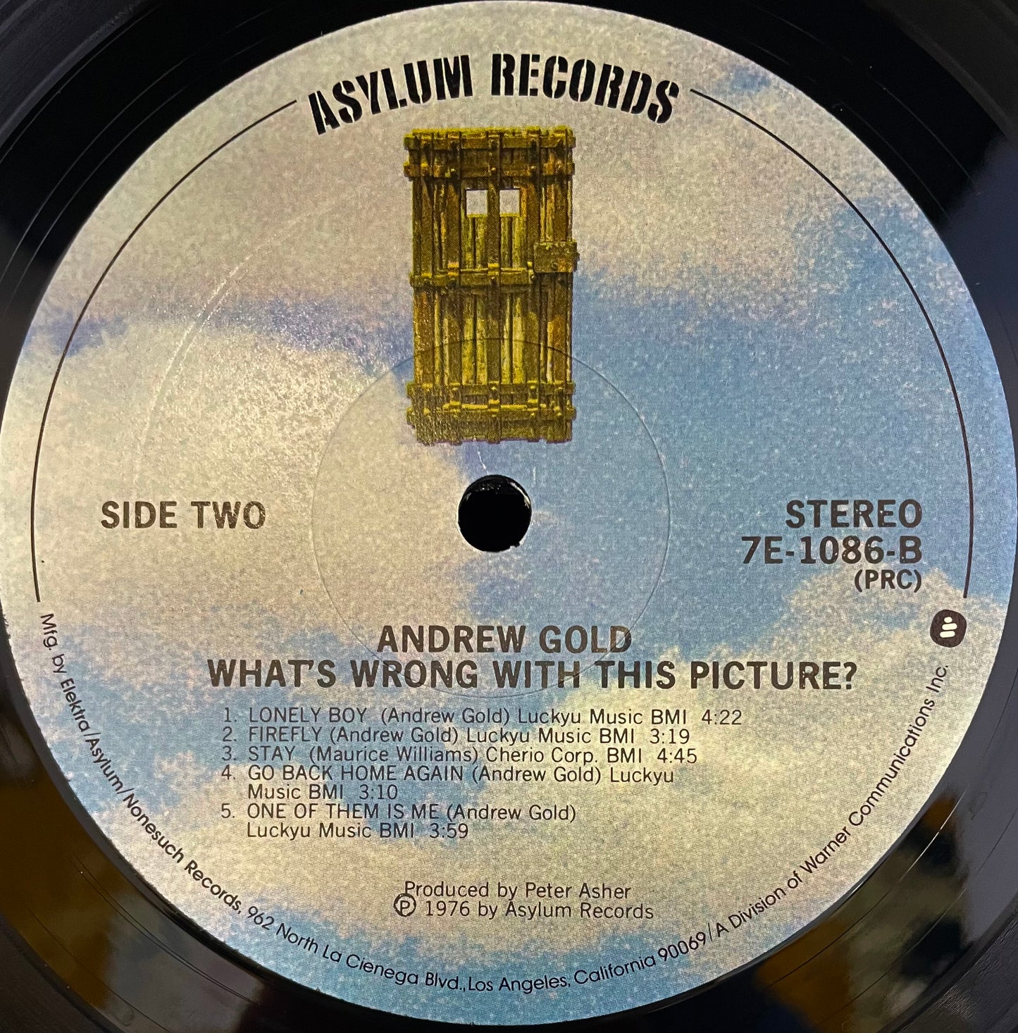 Andrew Gold – What's Wrong With This Picture? - USED Vinyl LP