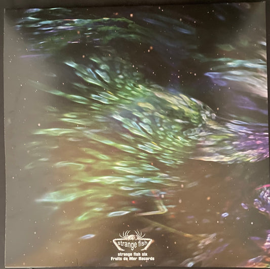 Craig Padilla – Sonar - USED Vinyl 2LP Light Green/Blue Translucent Marbled Limited Edition