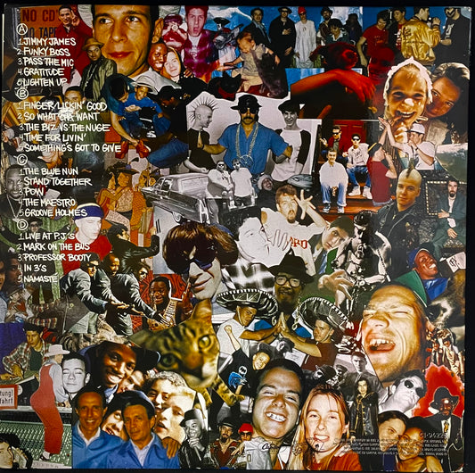 Beastie Boys – Check Your Head - USED Vinyl 2LP 180g