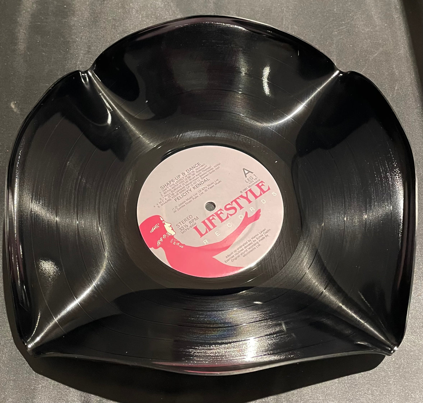 Die „Lifestyle“-Schüssel für 12-Zoll-Vinylplatten