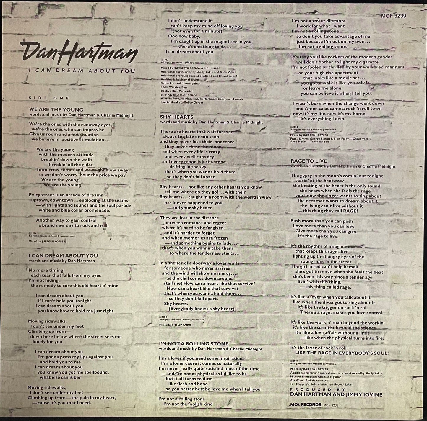 Dan Hartman – I Can Dream About You - USED Vinyl LP