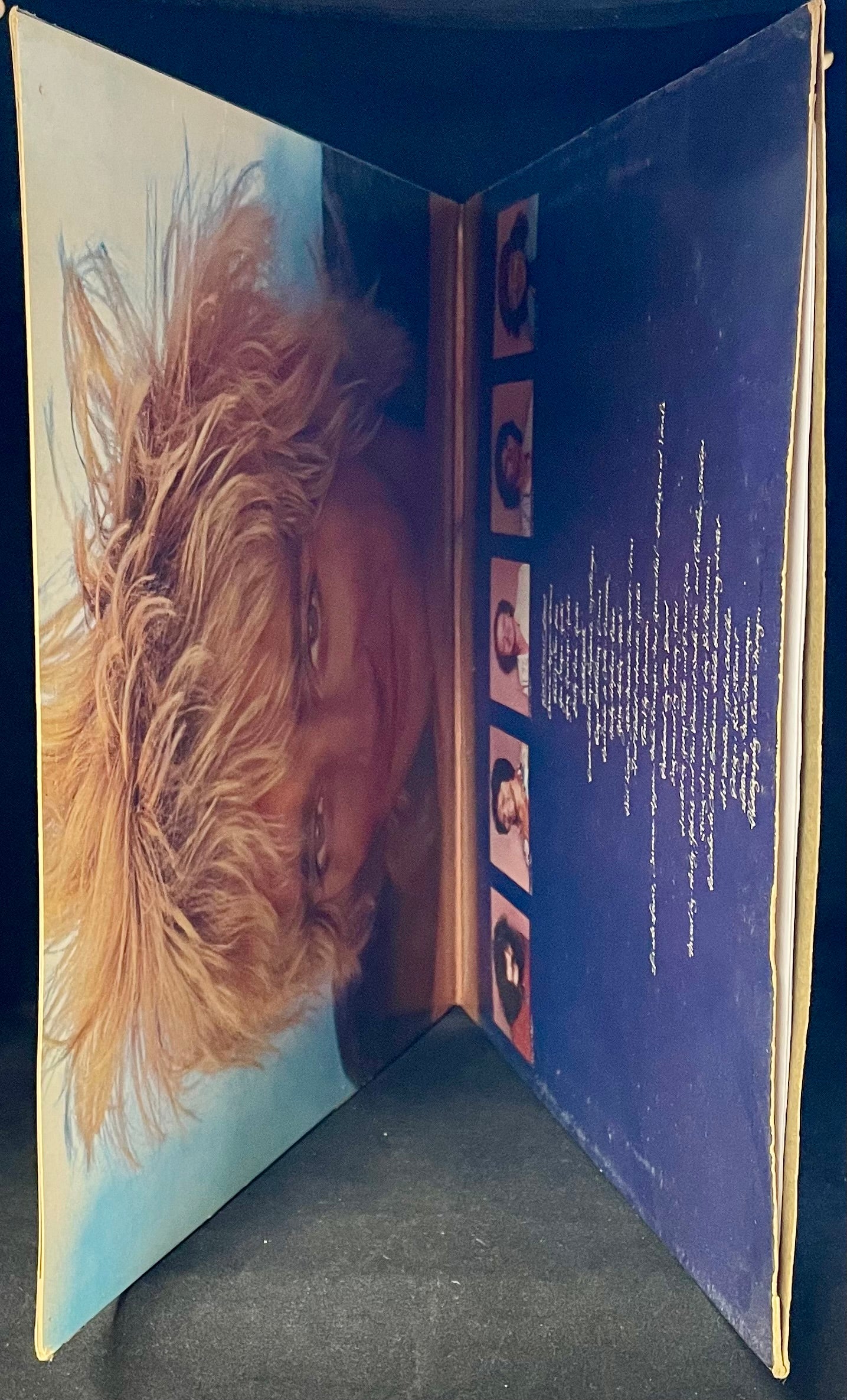 Rod Stewart – Blondes Have More Fun - USED Vinyl LP