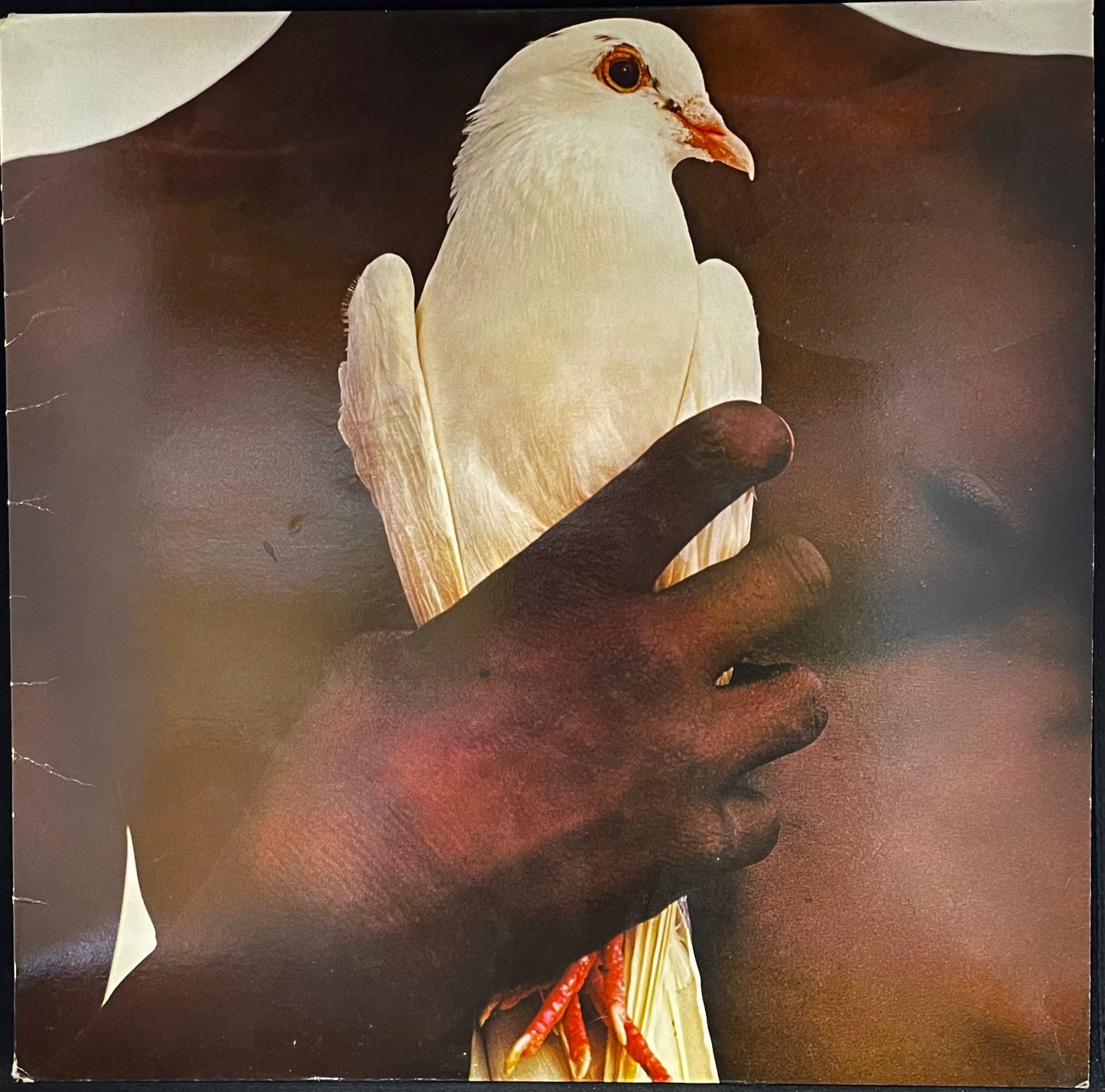 Santana – Santana's Greatest Hits - USED Vinyl LP