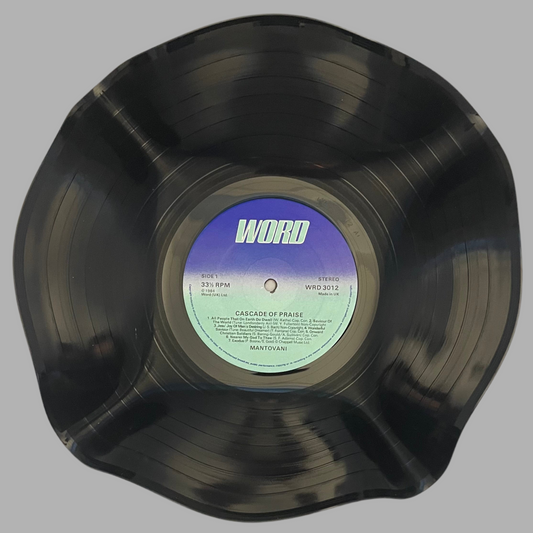 The 'Word’ Vinyl Record Bowl