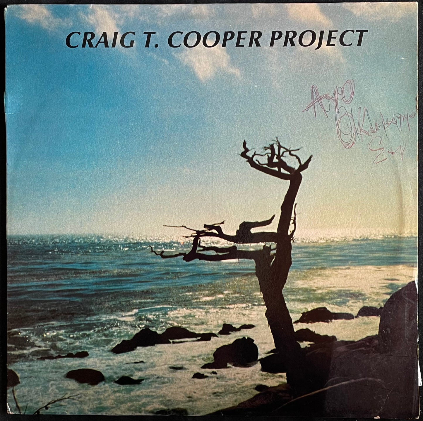Craig T. Cooper Project – Love Dues - USED Vinyl LP