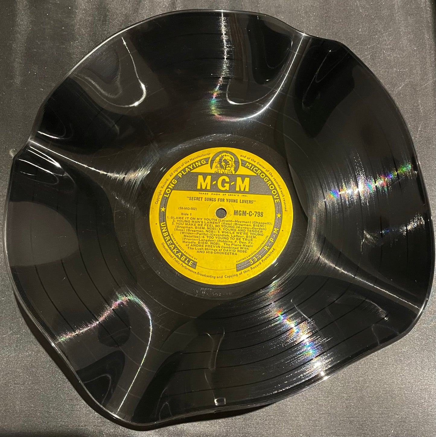 Die 12"-Vinyl-Schallplattenschale „MGM“