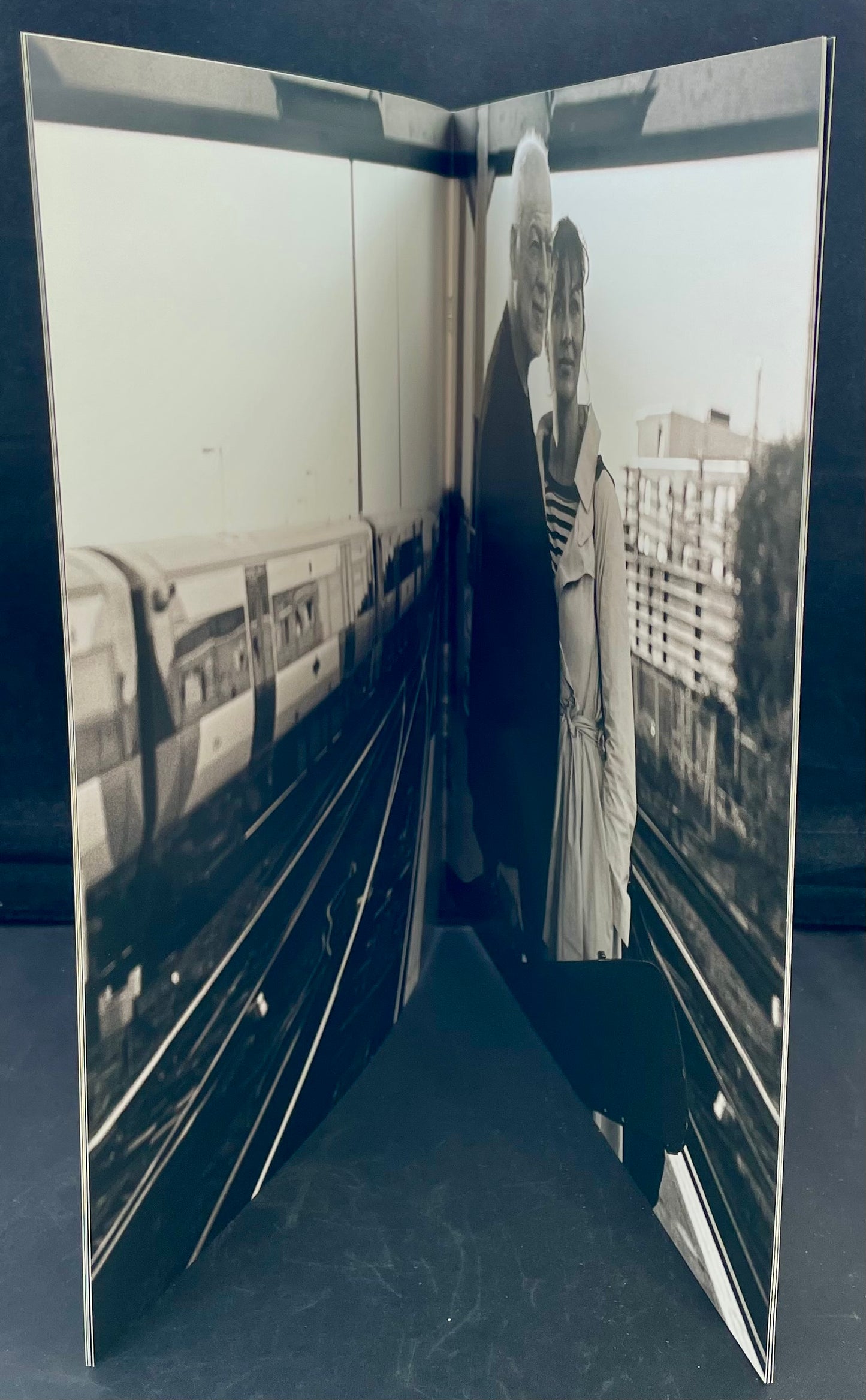 David Gilmour – Rattle That Lock - USED Vinyl LP