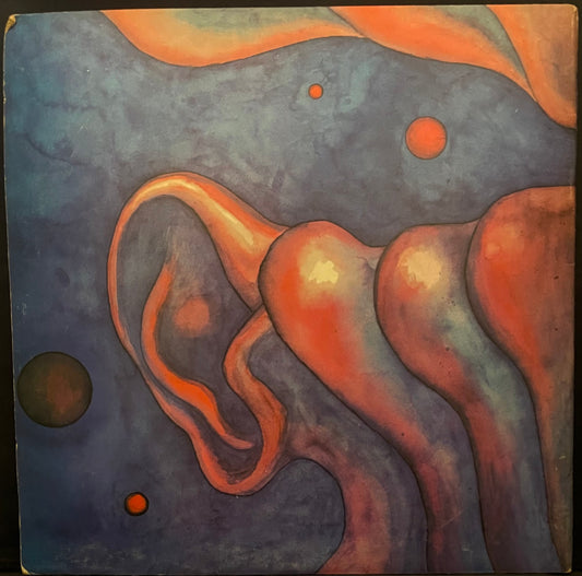 King Crimson – In The Court Of The Crimson King (An Observation By King Crimson) - USED Vinyl LP