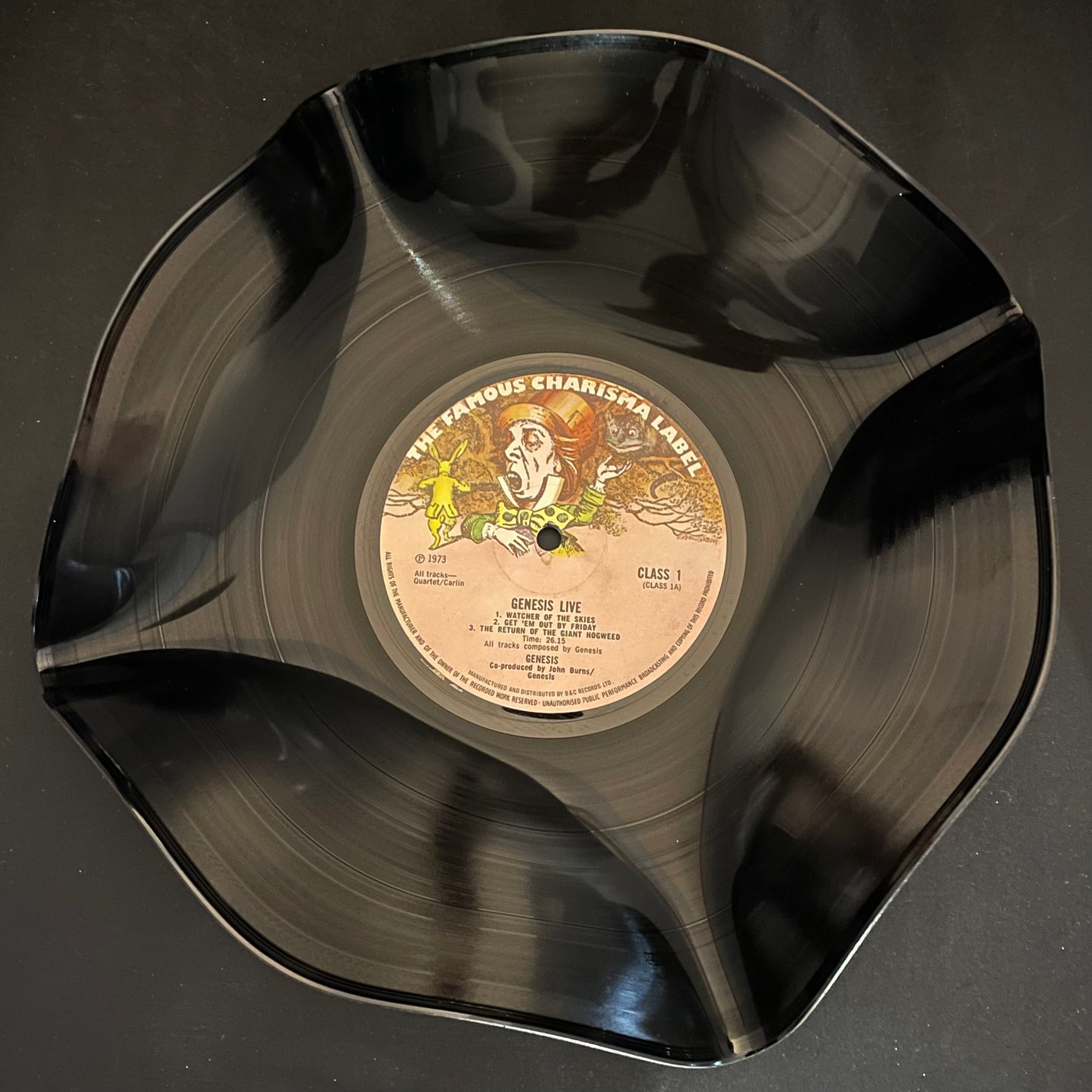 The 'Charisma' 12" Vinyl Record Bowl