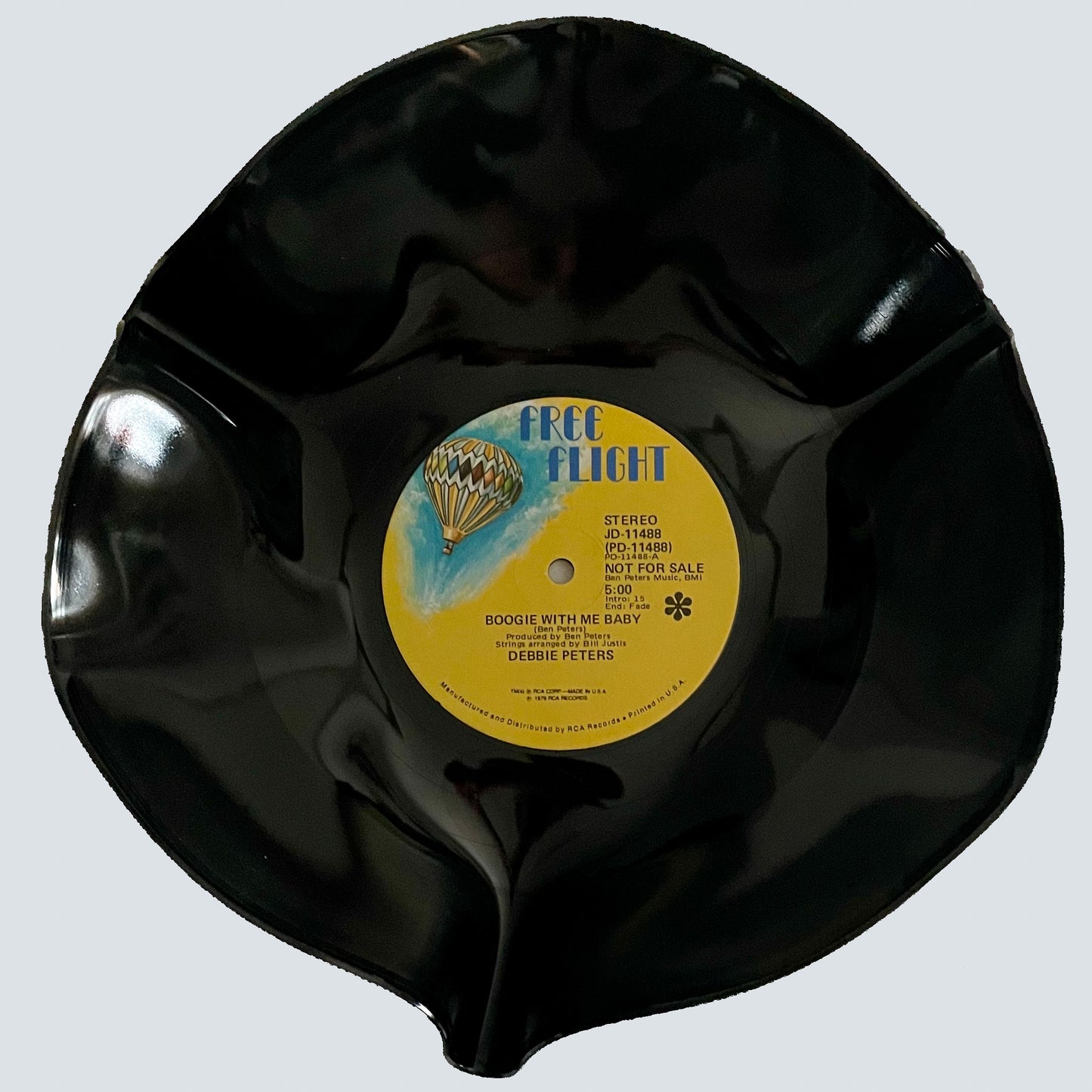 The 'First Flight’ 12" Vinyl Record Bowl