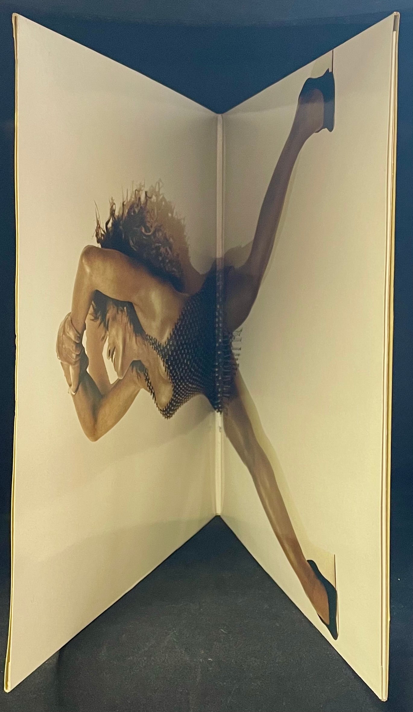 Tina Turner – Foreign Affair - USED Vinyl LP