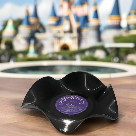 Die 12"-Vinyl-Schallplattenschale „Disneyland 3“