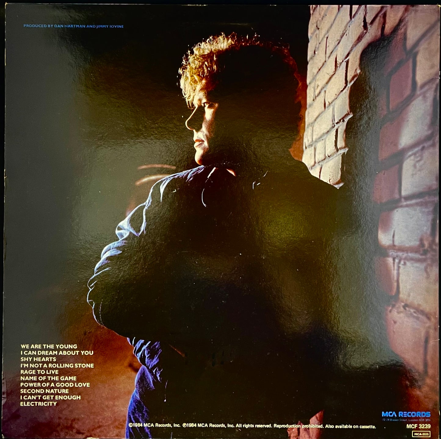 Dan Hartman – I Can Dream About You - USED Vinyl LP