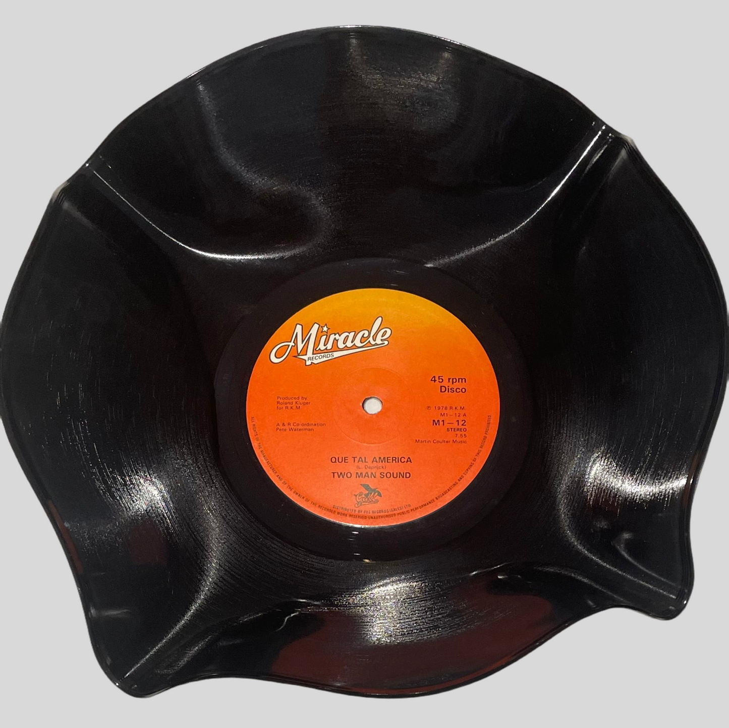 The 'Miracle’ 12" Vinyl Record Bowl