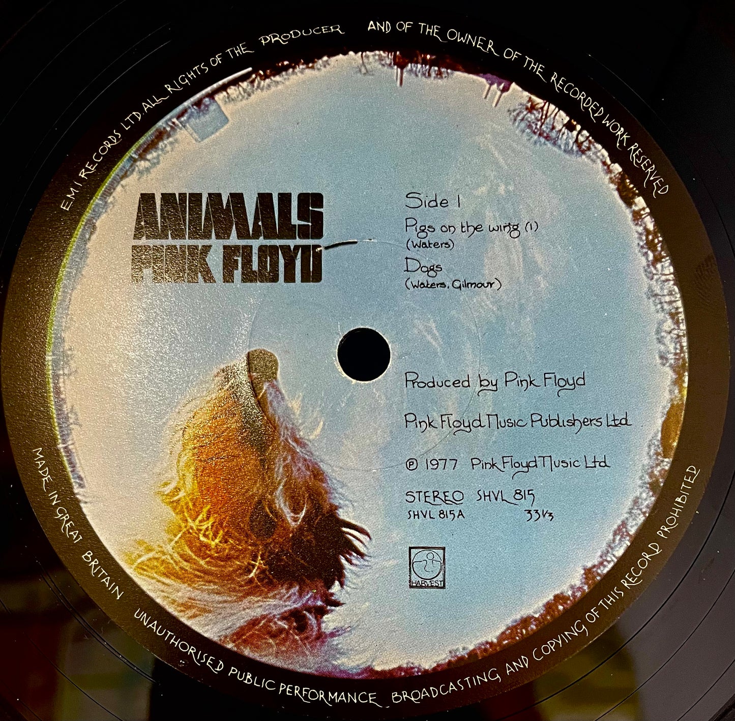 Pink Floyd – Animals - USED Vinyl LP