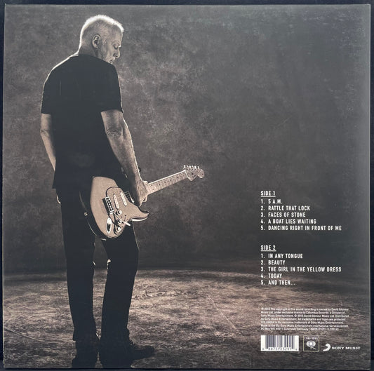 David Gilmour – Rattle That Lock - USED Vinyl LP