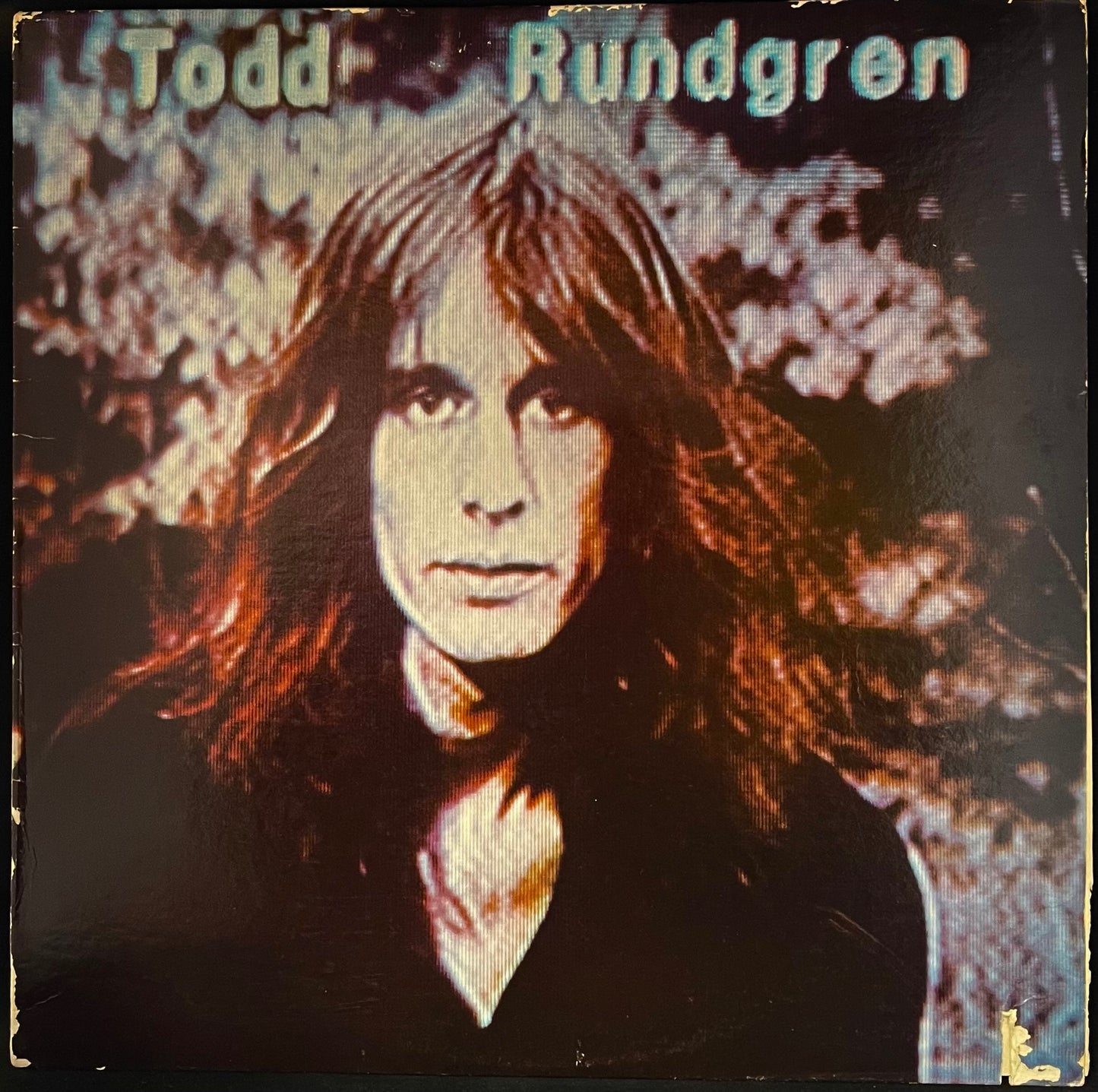 Todd Rundgren – Hermit Of Mink Hollow - USED Vinyl LP