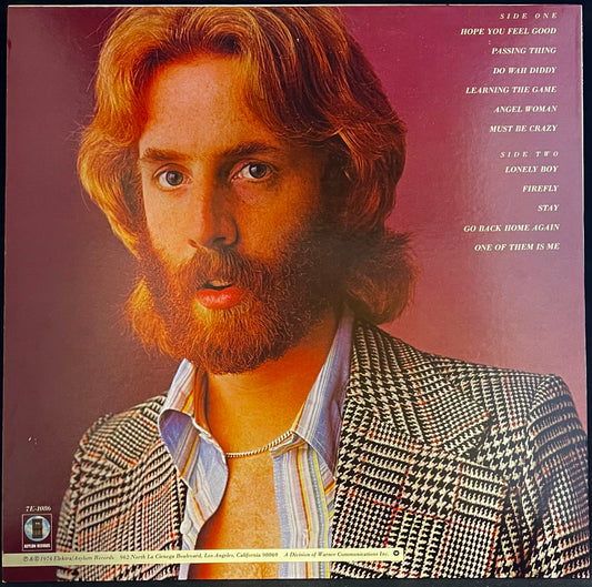 Andrew Gold – What's Wrong With This Picture? - USED Vinyl LP