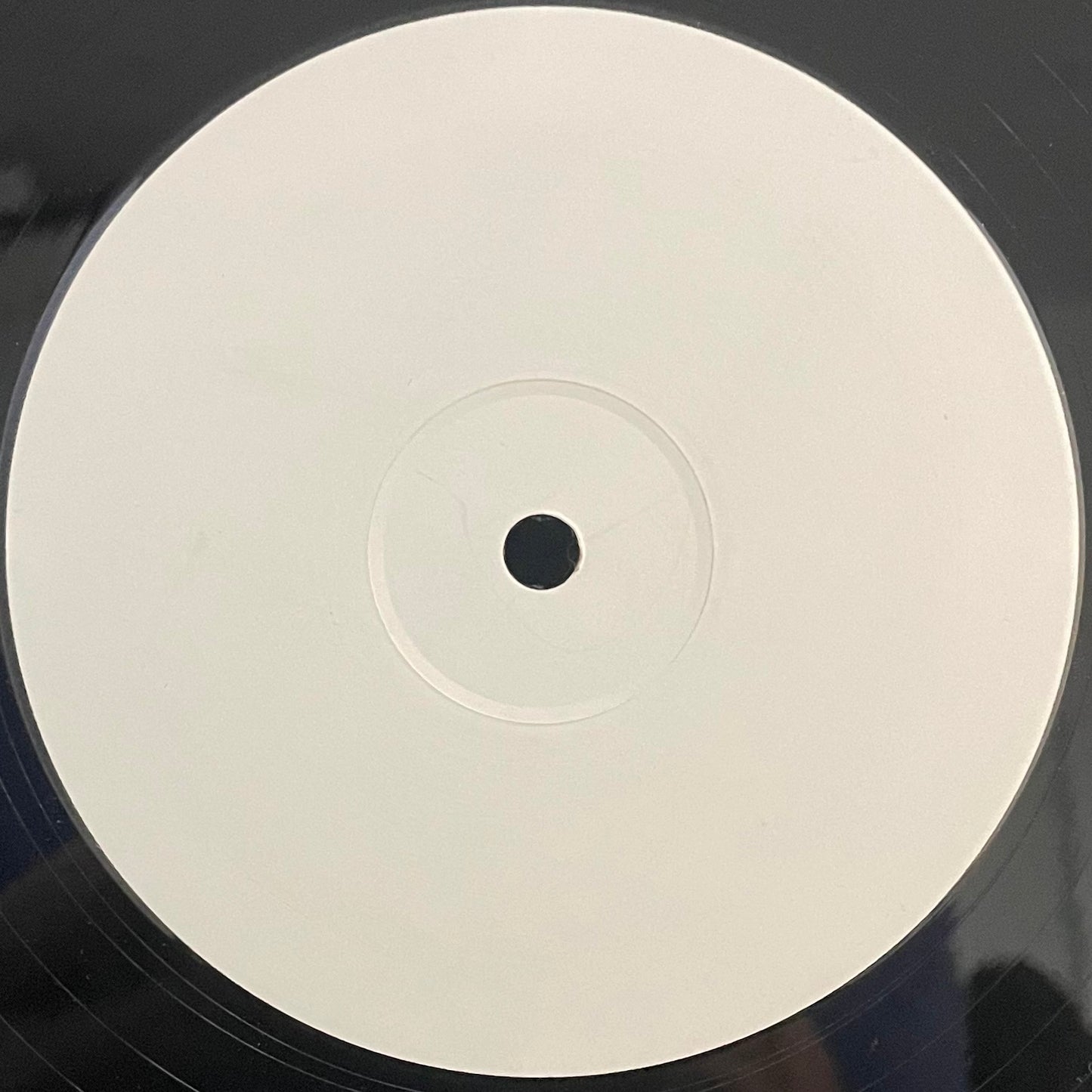 DJ D Presents The Hydraulic Dogs – Shake It – USED Vinyl 12" Single - White Label