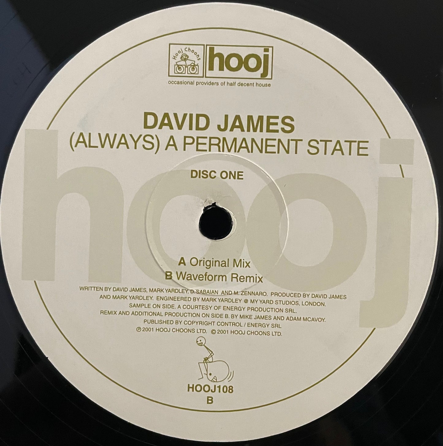 David James – (Always) A Permanent State – USED Vinyl 12" Single