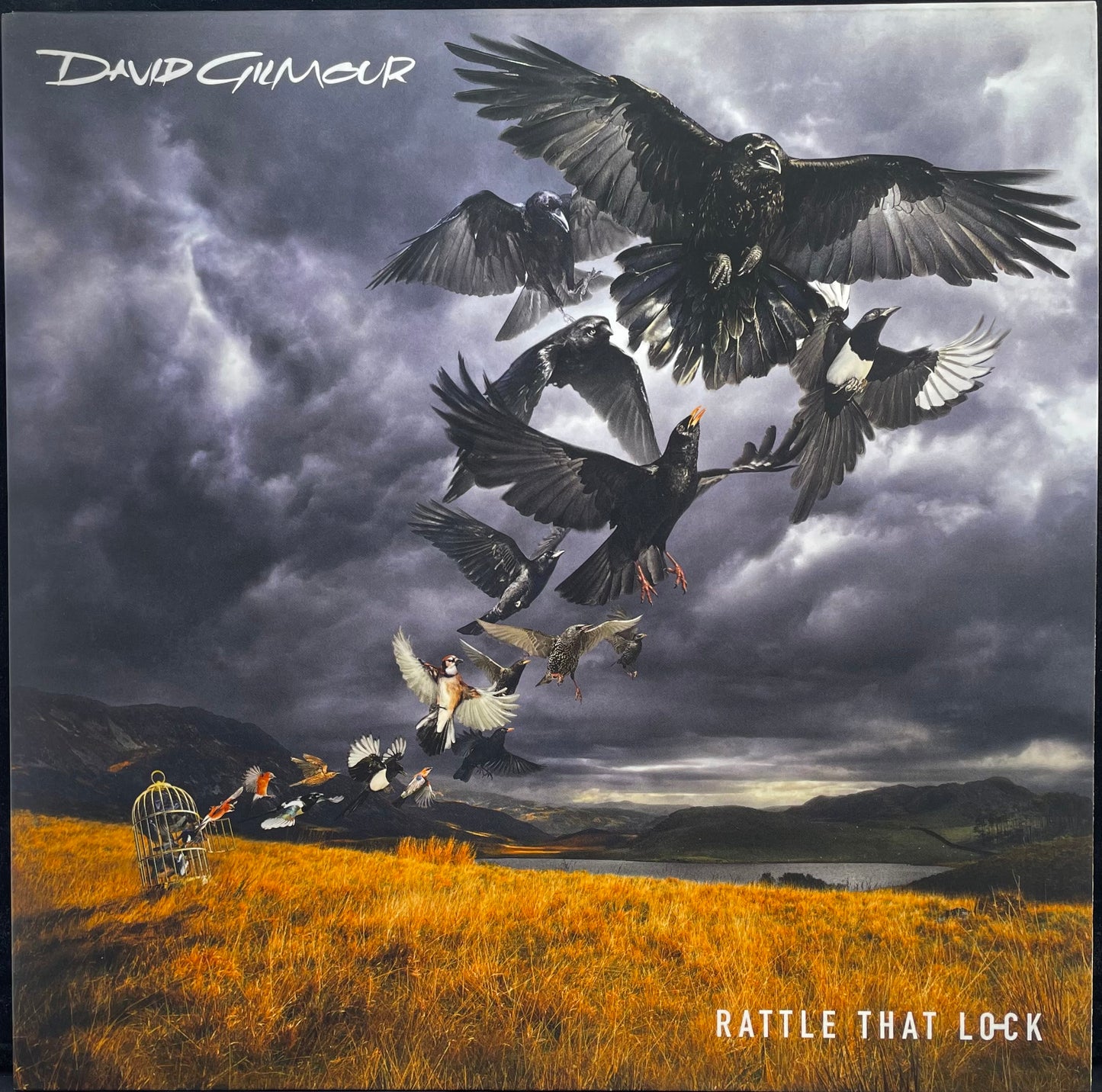 David Gilmour – Rattle That Lock - USED Vinyl LP
