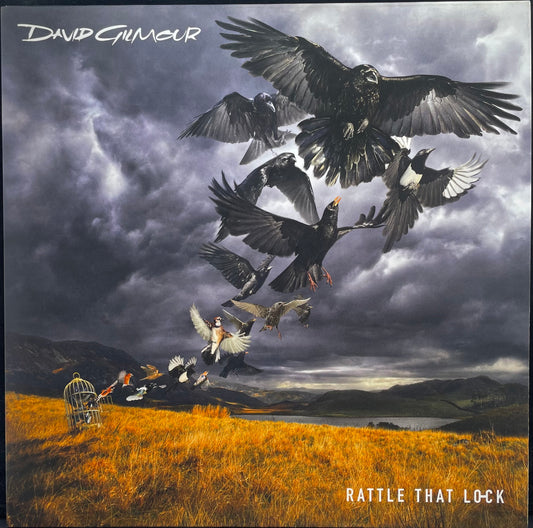 David Gilmour – Rattle That Lock - USED Vinyl LP