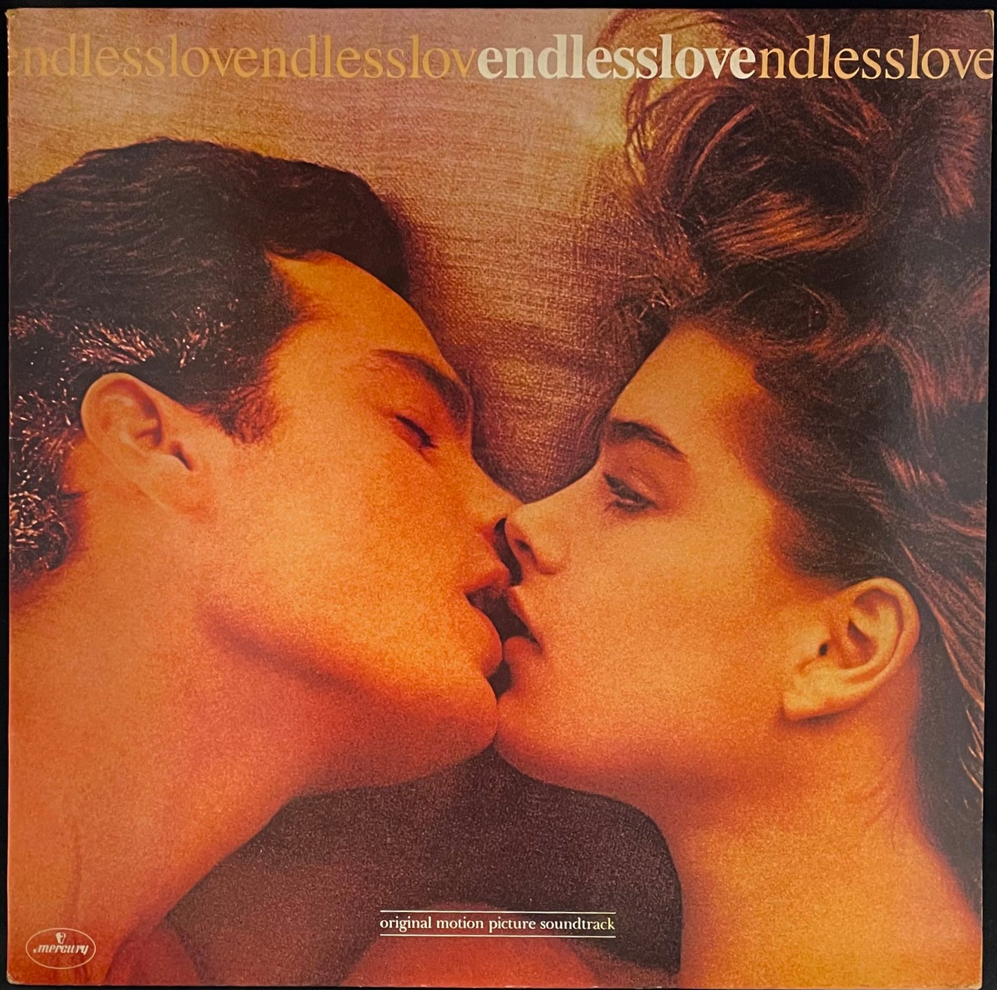 Various – Endless Love - USED Vinyl LP