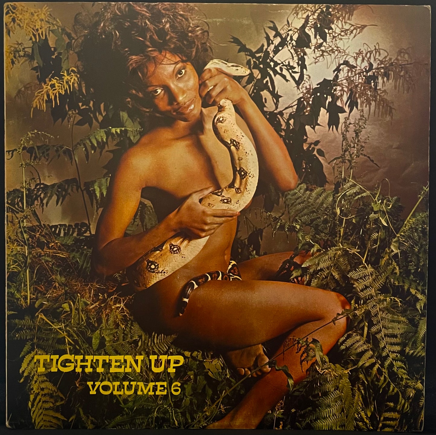 Various – Tighten Up Volume 6 - USED Vinyl LP