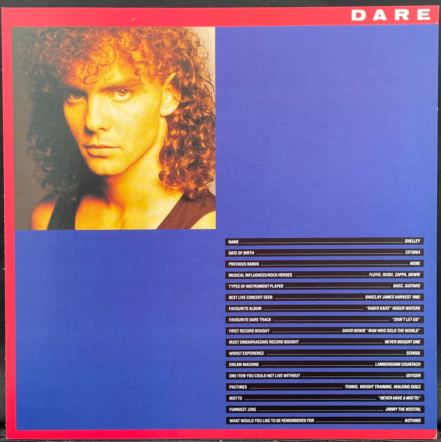 Dare – The Raindance – USED Vinyl 7" Single