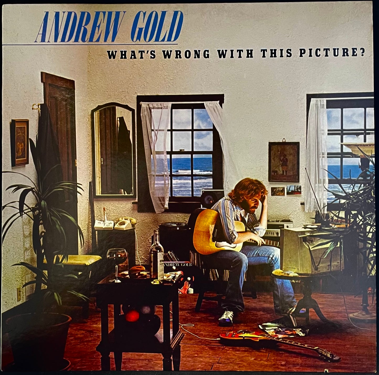 Andrew Gold – What's Wrong With This Picture? - USED Vinyl LP