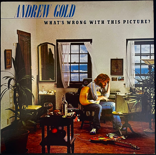 Andrew Gold – What's Wrong With This Picture? - USED Vinyl LP