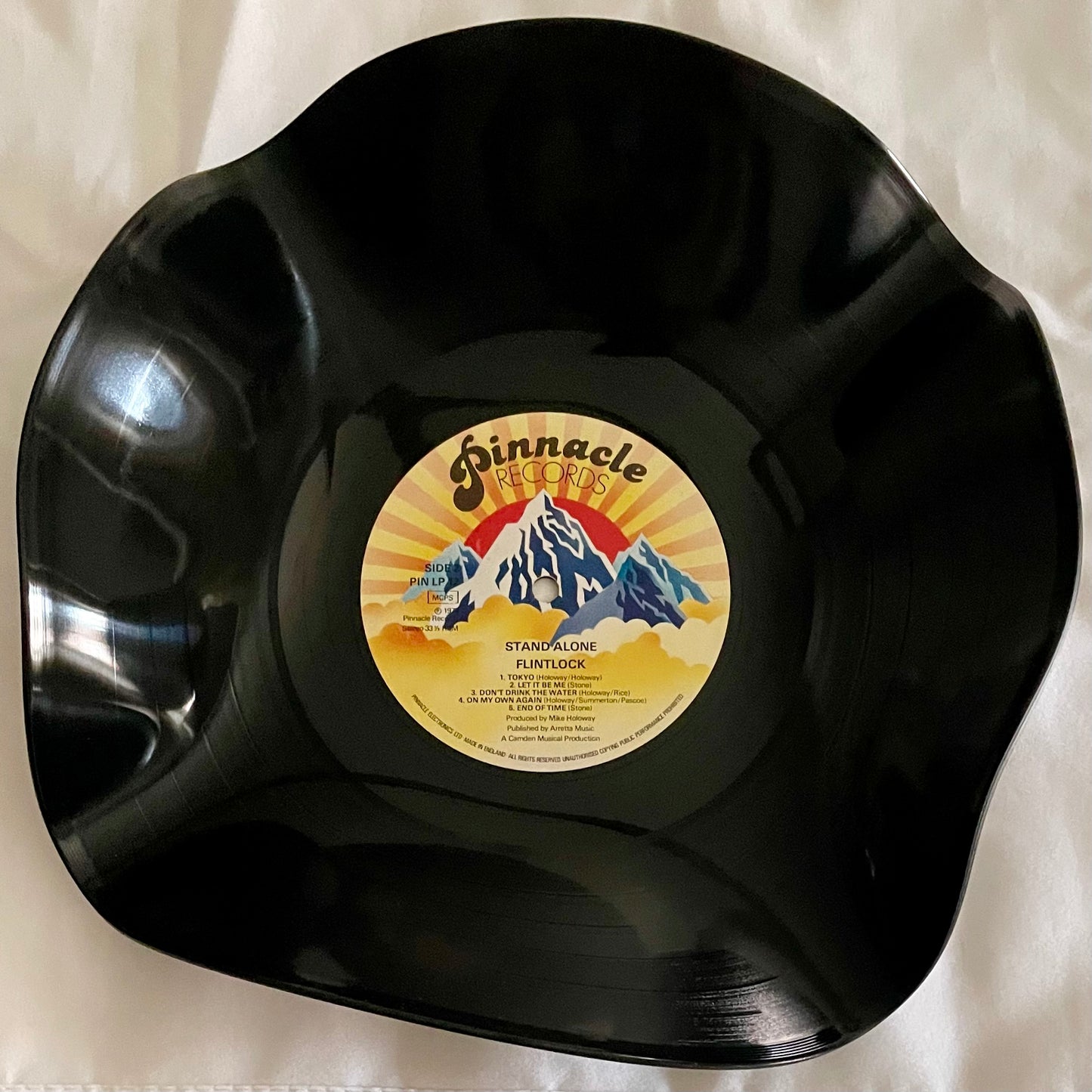 Die 12"-Vinyl-Schallplattenschale „Pinnacle“