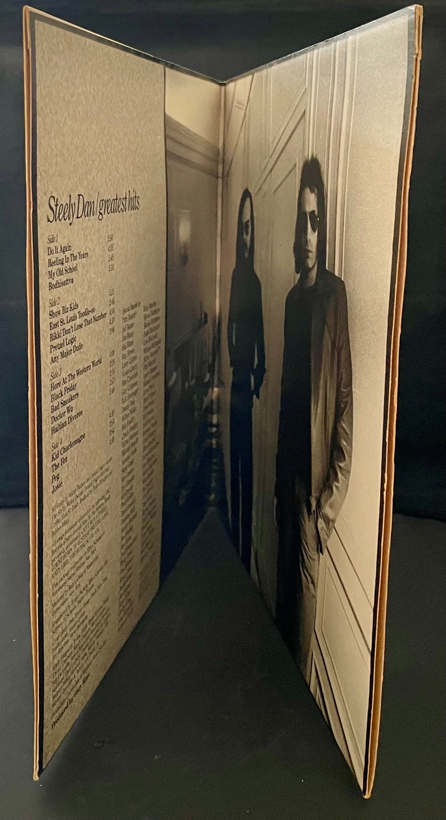 Steely Dan – Greatest Hits - USED Vinyl 2LP
