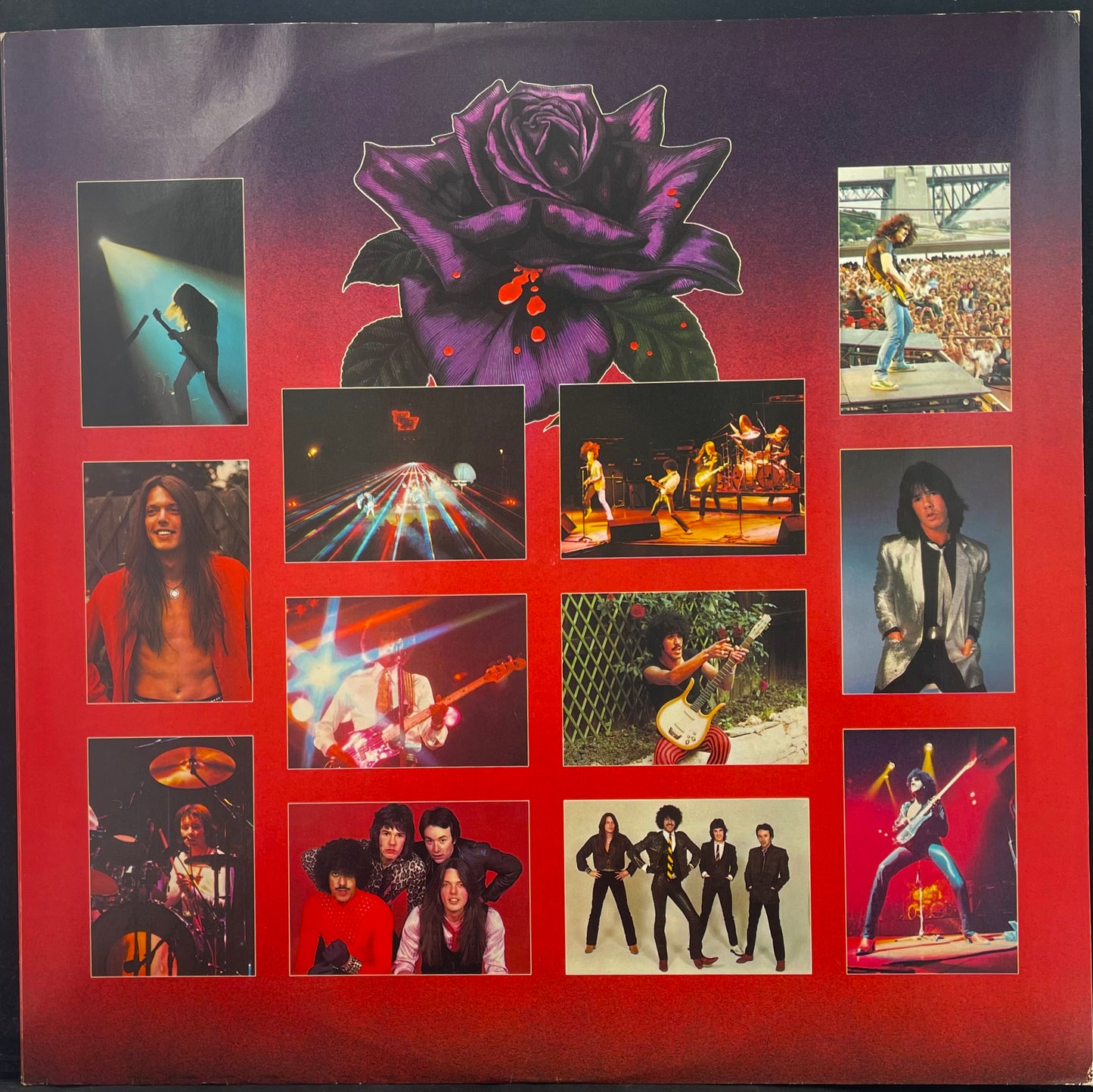 Thin Lizzy – Black Rose (A Rock Legend) - USED Vinyl LP