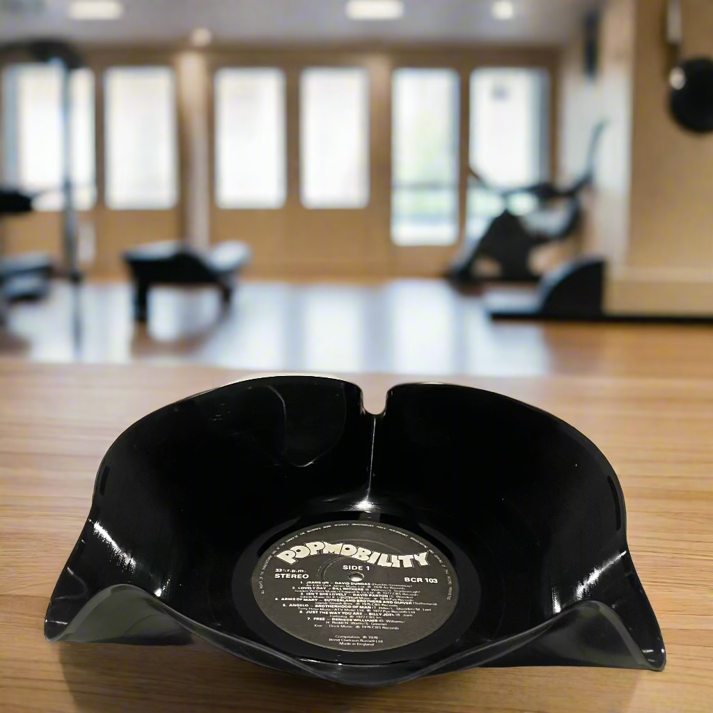 The 'Popmobility’ 12" Vinyl Record Bowl