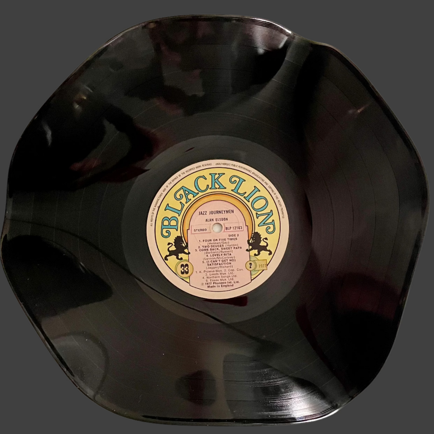 Die 12"-Vinyl-Schallplattenschale „Black Lion“