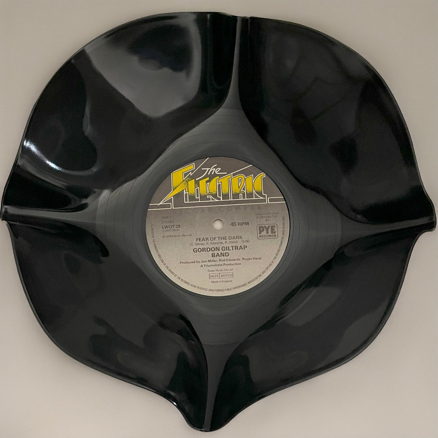 The ‘Electric’ 12" Vinyl Record Bowl