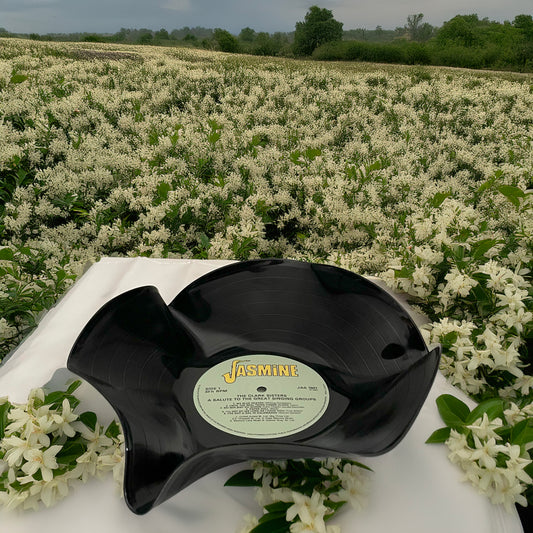 Die 12"-Vinyl-Schallplattenschale „Jasmine“