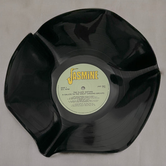 Die 12"-Vinyl-Schallplattenschale „Jasmine“